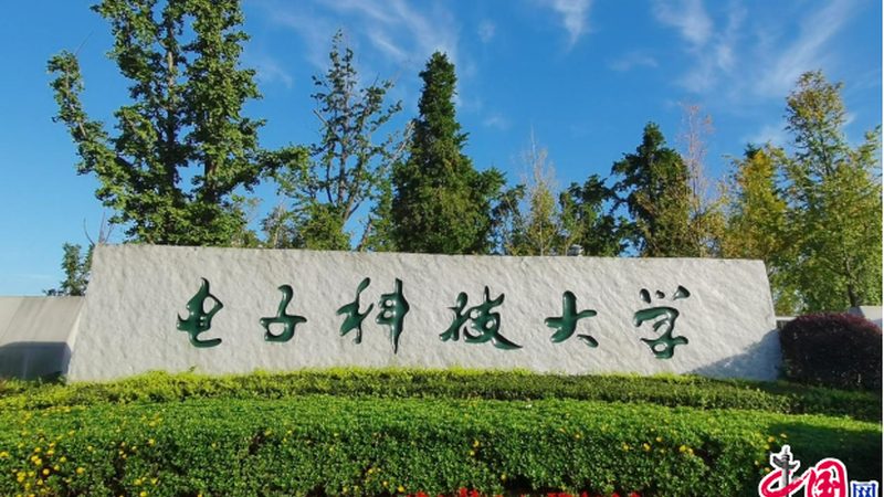 揭秘芯片代理公司名单：行业背后的真相